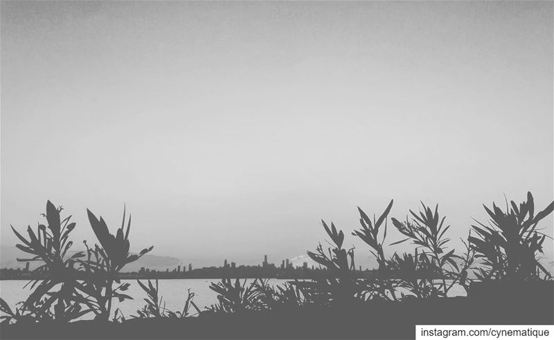 The City of... (Beirut, Lebanon)