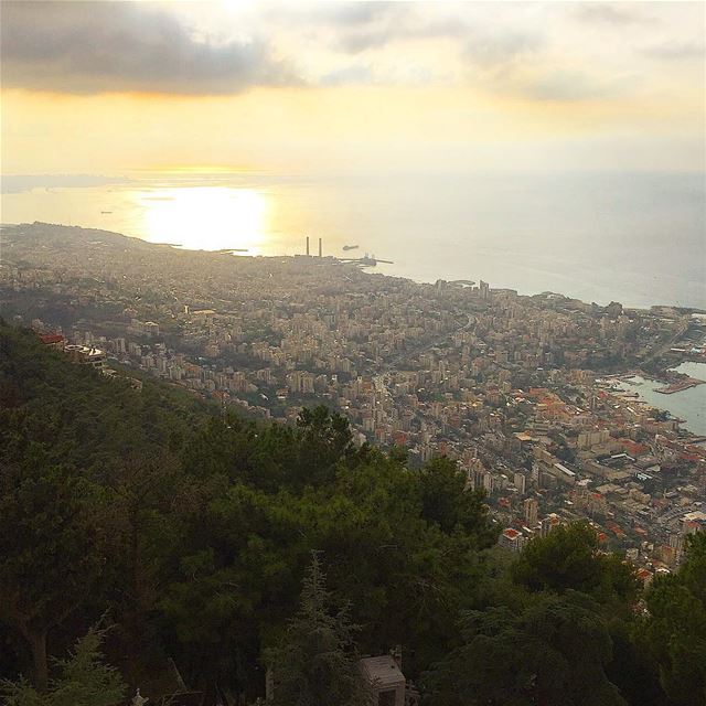" The City Was A Hive From This Height, The People And The Cabs Moving... (Harisa, Liban-Nord, Lebanon)