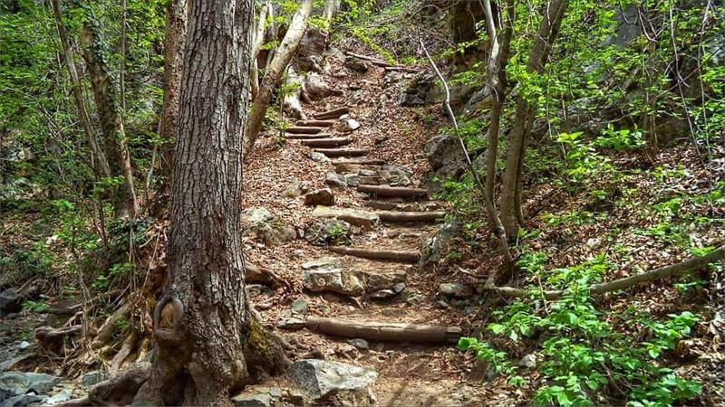 The clearest way into the Universe is through a forest wilderness....... (Troodos Mountains)