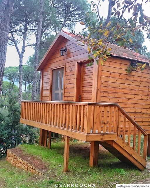 "The  clearest way into the Universe is through a forest wilderness"... (Jezzîne, Al Janub, Lebanon)