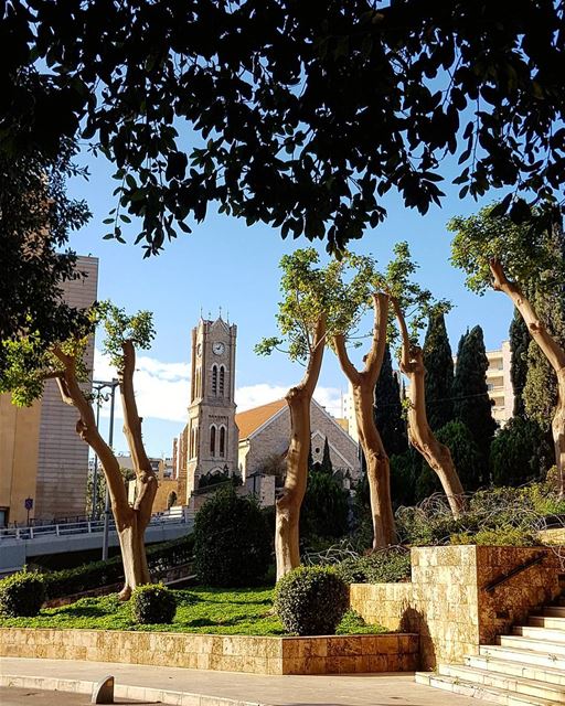 The Cold Green Blues of Beirut..🍃 beirut winter  light morning... (Downtown Beirut)