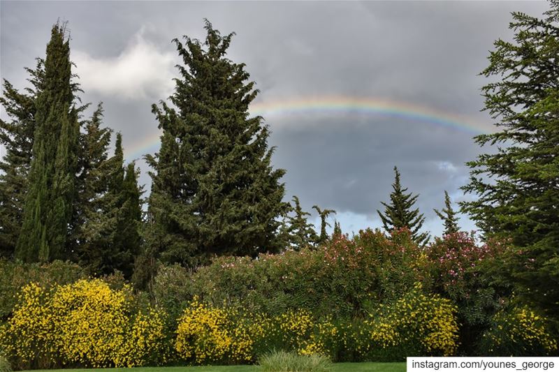 The colors of a garden under the colors of a rainbow beautiful  hazy ...