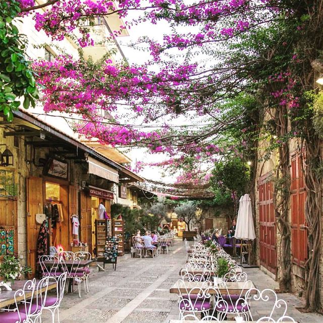 The colors of Byblos  livelovelebanon  repost @wearelebanon . . .   nature... (Byblos, Lebanon)