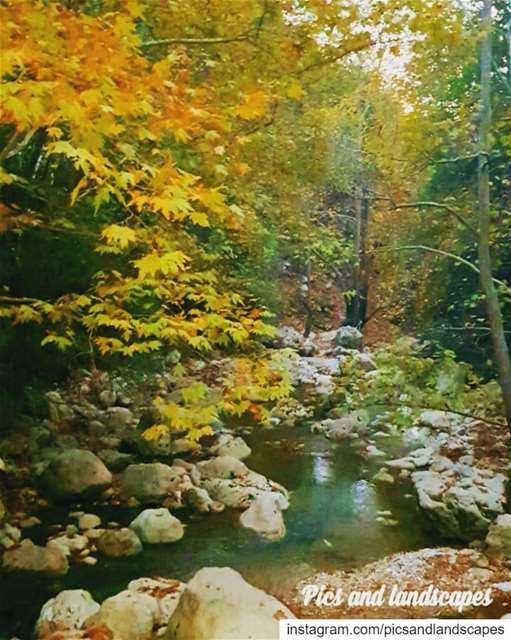 The colors of fall 🍁🍂🌾 autumn colorsoffall ig_color ig_nature...