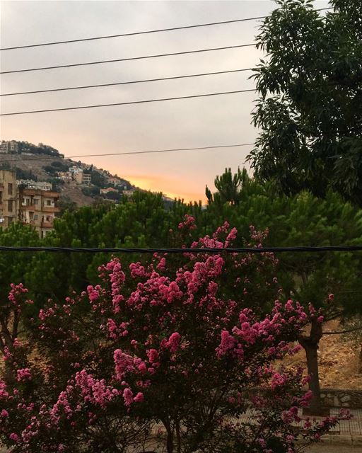 The colors of missing you .. nature  passion  livelovejnoub ... (النبطية الفوقا)