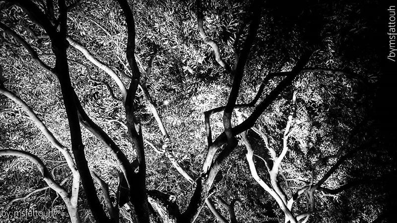 "The complexity of things - the things within things - just seems to be...