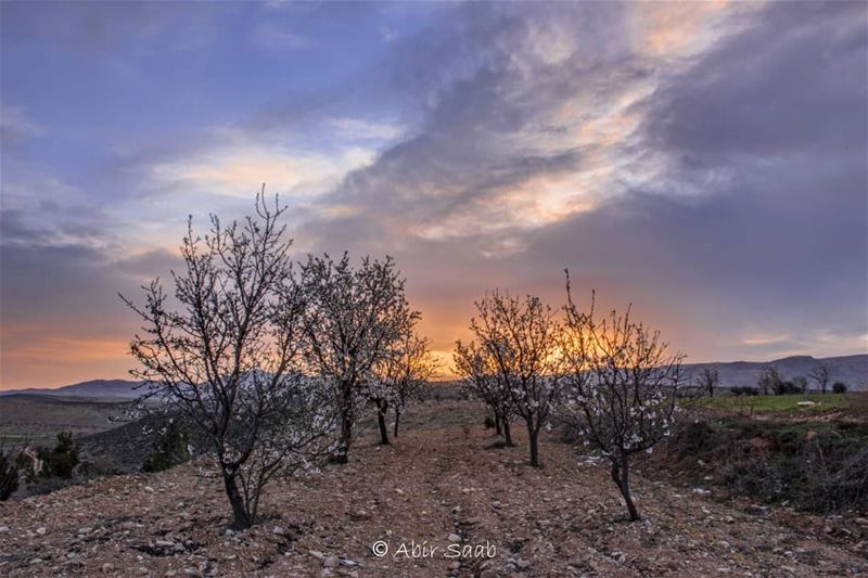 The dawn was breaking fully, and I witnessed one of the most beautiful... (Beqaa Governorate)