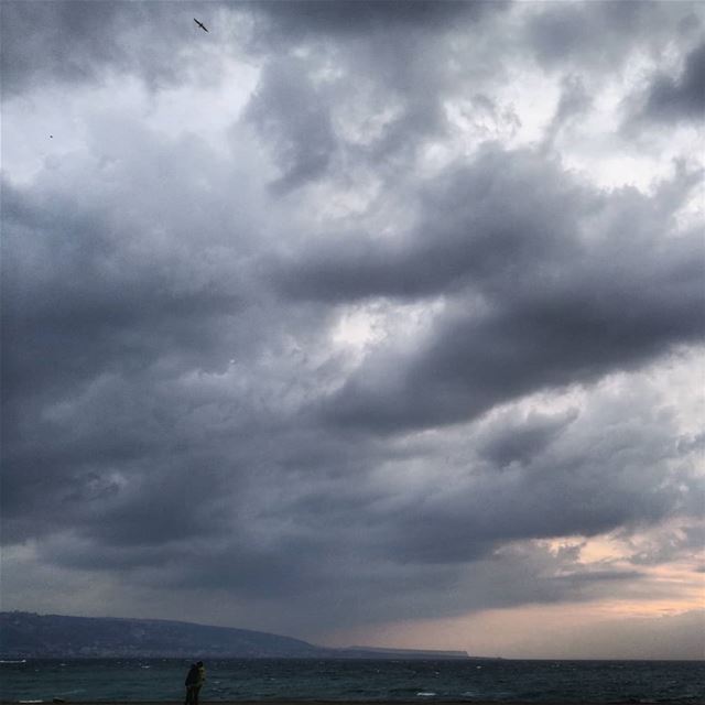 The day after -  ichalhoub in  Tripoli north  Lebanon shooting with a...