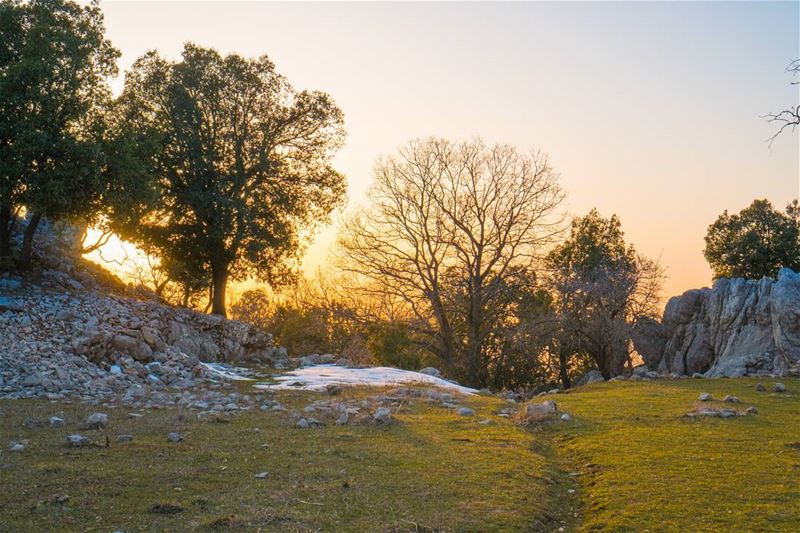 The day ending in Jabal Moussa  vsco  lebanon ... (Jabal Moussa)