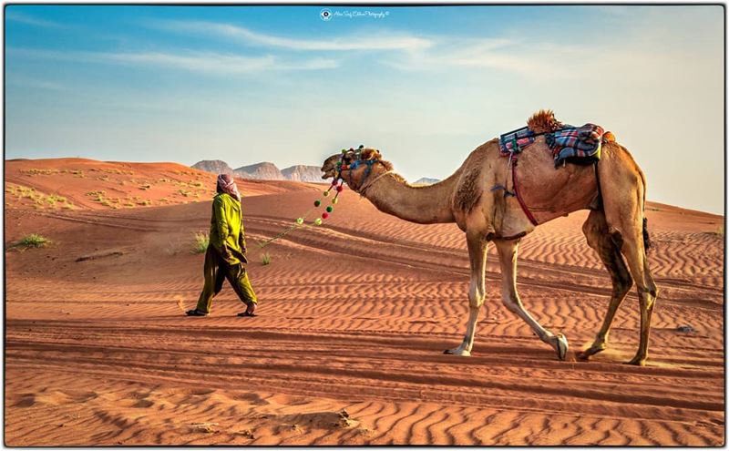 The desert ship and the captain 😀..... landscapelover ... (Dubai, United Arab Emirates)