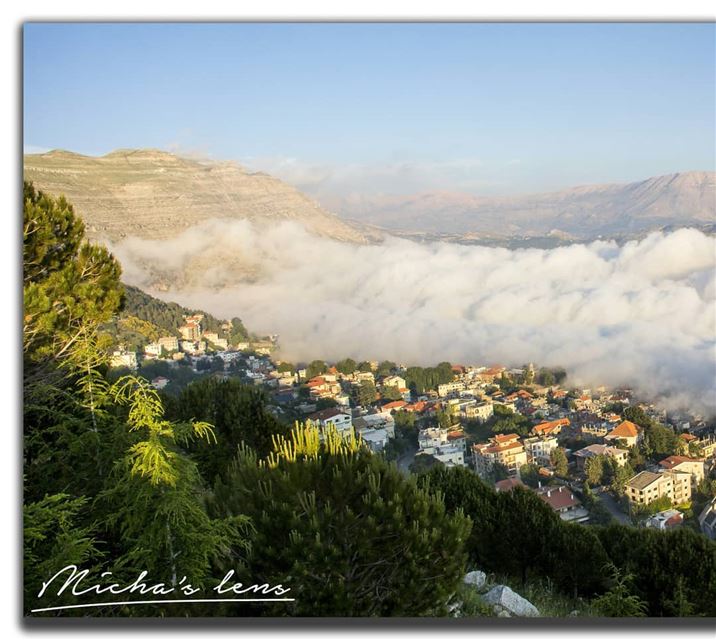 The different colors of ehden.. see my profile so u can see all the...