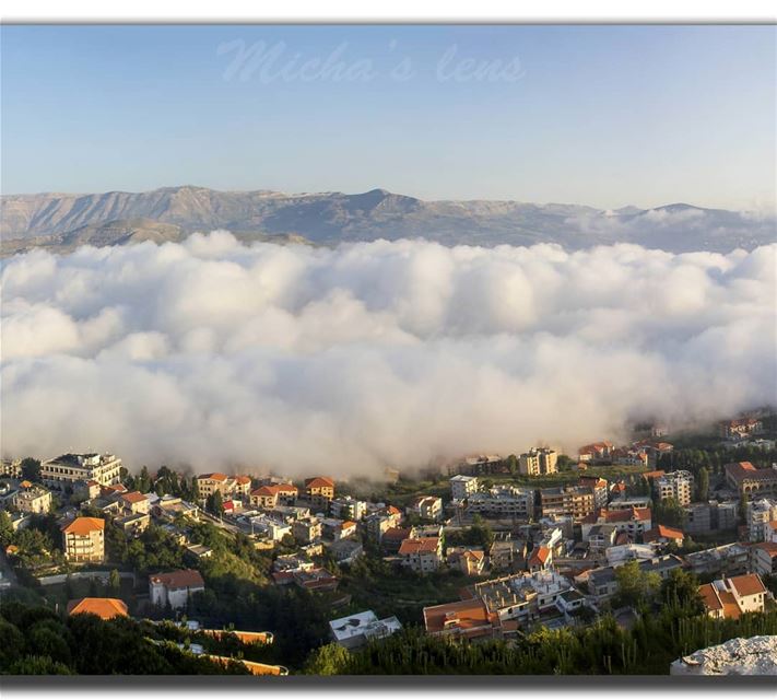 The different colors of ehden.. see my profile so u can see all the...