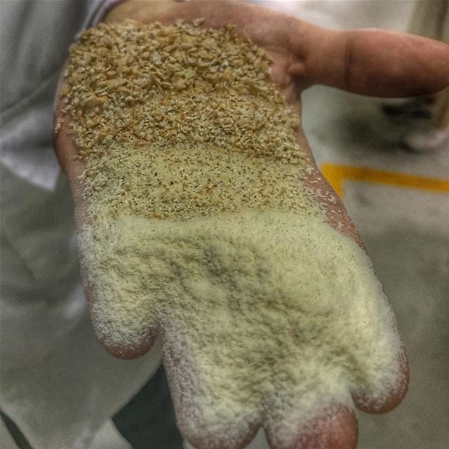 The different stages of milling; a wheat grain goes through to deliver... (Crown Flour Mills)