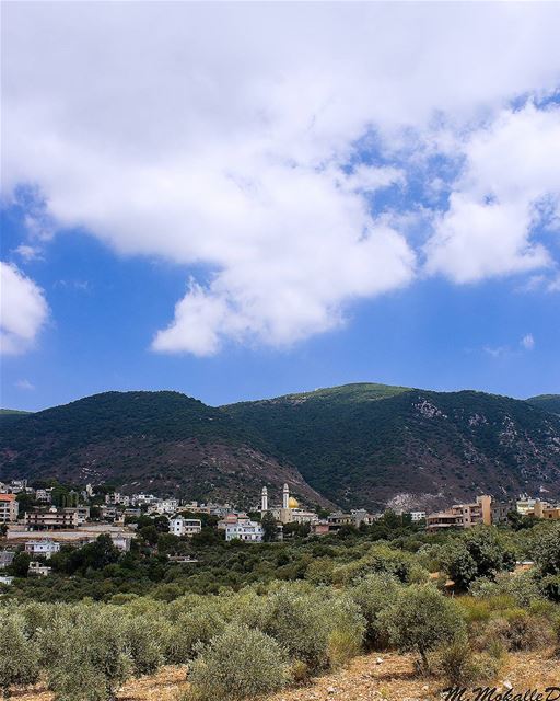 The difficulties of life are intended to make us better, not bitter....... (Arabsalim, Lebanon)