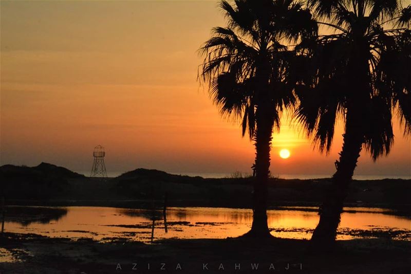 The distance, like dignity, makes everything precious to the maximum... (Tyre, Lebanon)