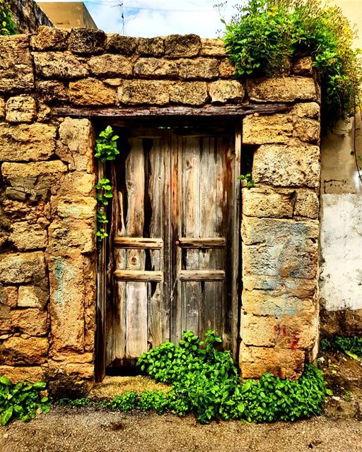 The door will be open to those bold enough to knock   village  vintage ... (Batroûn)
