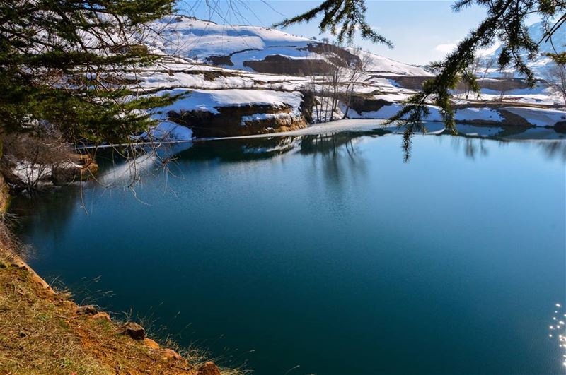 The earth has its music 🎶🌲..... nature naturephotography nikon... (El Laqloûq, Mont-Liban, Lebanon)