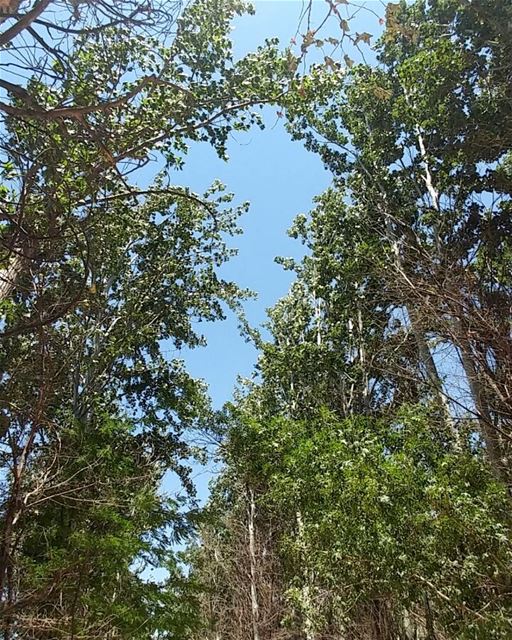 💫 The earth has music for those who listen 🎶... (Deïr Taanâyel, Béqaa, Lebanon)