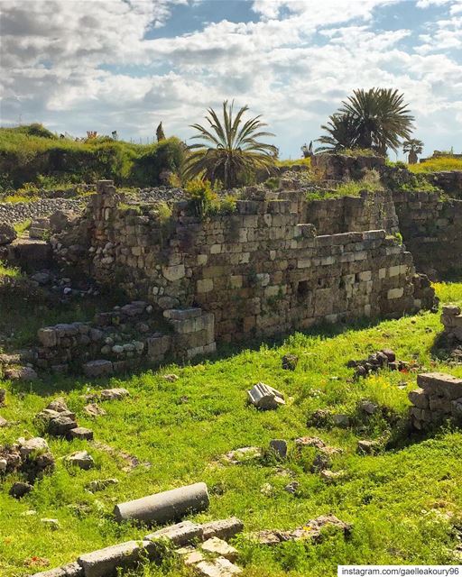 The earth has music for those who listen 🍃  green  greenery  nature ... (Byblos, Lebanon)