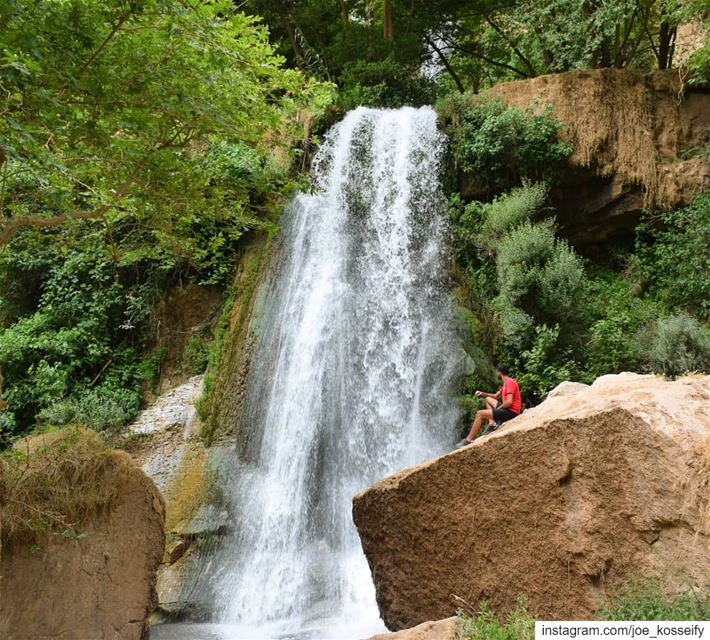 The Earth Has Music For Those Who Listen 🌎💧🍃 (Kfar Helda)