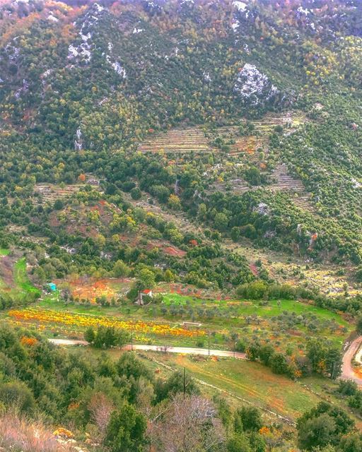 The Earth is all we have in common 🍃💚🍃 .......... nature ... (Ehmej, Mont-Liban, Lebanon)