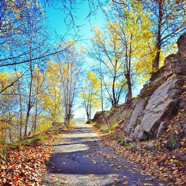 ●The fall in Faqra-kfarzebian●camera : nikon d3200● HDR🍁🍁🍁🍁🍁🍁🍁🍁�