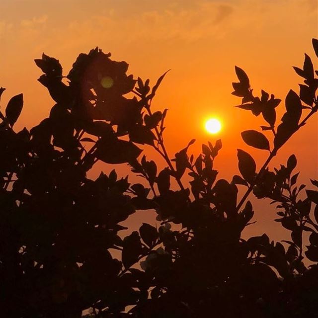 the first stab of love is like a sunset sunsetlover love calmnessinchaos... (Beirut, Lebanon)