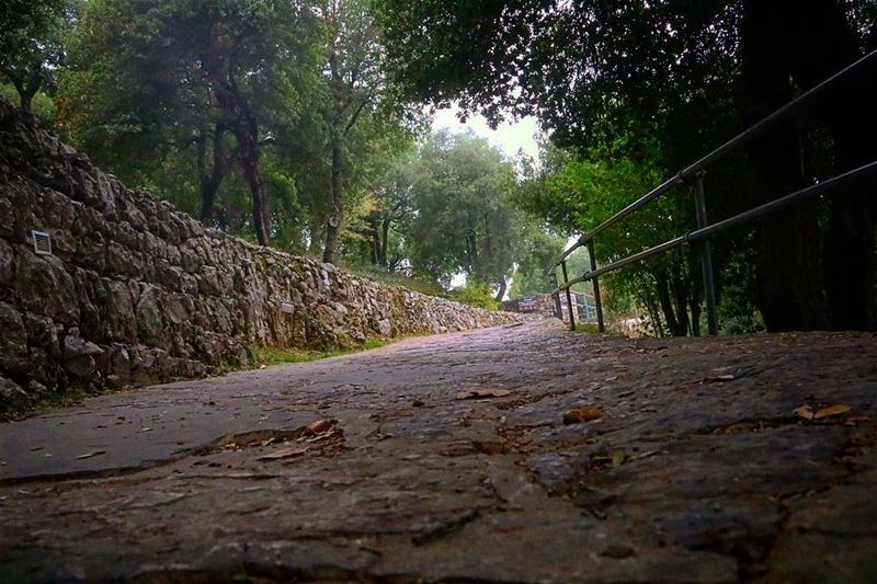 The flower she is finds no water, no rain to drink, only tears to swallow!... (Annâya, Mont-Liban, Lebanon)