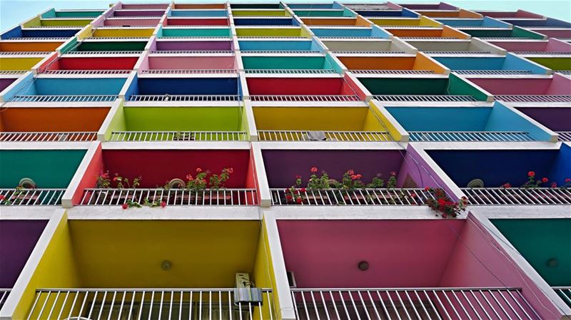 The Flowers on the Balcony of the Third Floor - In a city which favors... (Beirut, Lebanon)