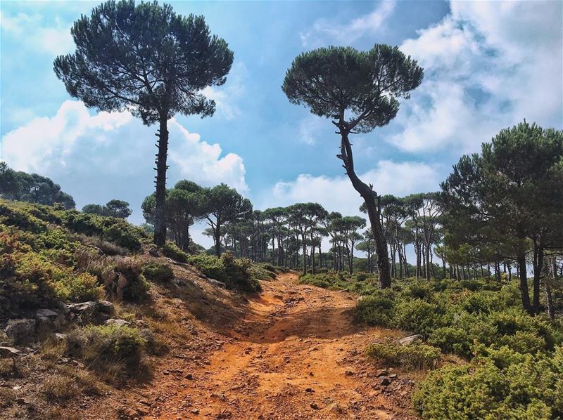 'the fun begins where the pavement ends...'''' photography ... (Baskinta, Lebanon)