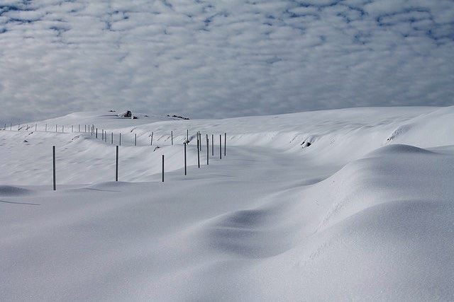 The future lies before you, like a field of fallen snow; Be careful how... (Cedars of God)