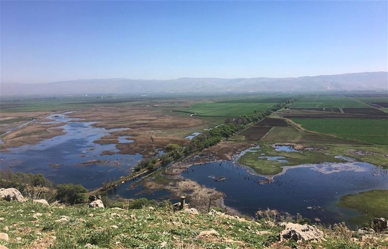 The Globe 🌎?! ammiq  ammiqwetlands  ammiq_bekaavalley  wetlands  bekaa ... (`Ammiq, Béqaa, Lebanon)