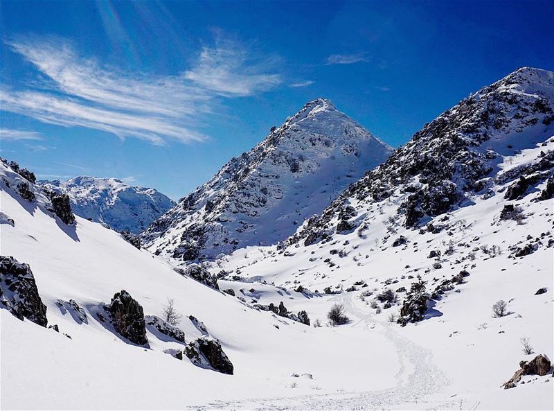 📍The glorious mountains of Tannourine, Lebanon...━ ━ ━ ━ ━ ━ ━ ━ ━ ━ ━... (Tannurin At Tahta, Liban-Nord, Lebanon)