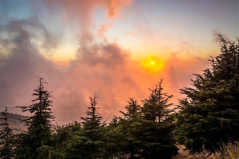 .The golden hour, Beautiful sunset at the top of Mount Barouk Cedar...