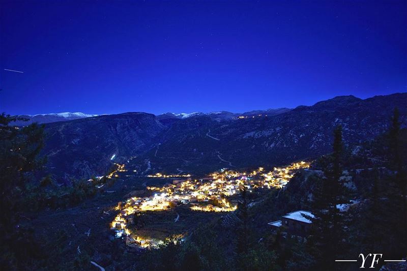 The Golden Scorpion Under The Stars Of December  decembersupermoon ... (Douma, Liban-Nord, Lebanon)