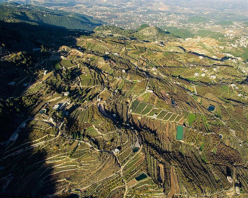 The grass was greener, The light is brighter 🔔📍Akkar, North Lebanon..... (`Akkar, Liban-Nord, Lebanon)