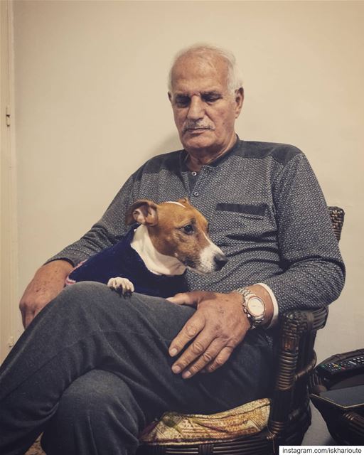 'the greatest fear dogs know; is the fear that u will not come back...' (Beirut, Lebanon)