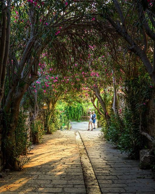.The green Tunnel | Byblos, Lebanon. Best place to take a walk! Good... (Byblos, Lebanon)