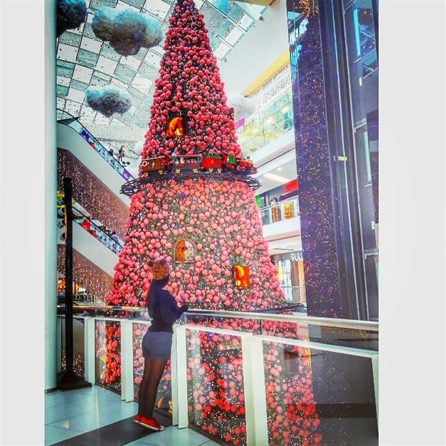 The happiest time of the year 🌲🍭🎉☃... (LeMall)