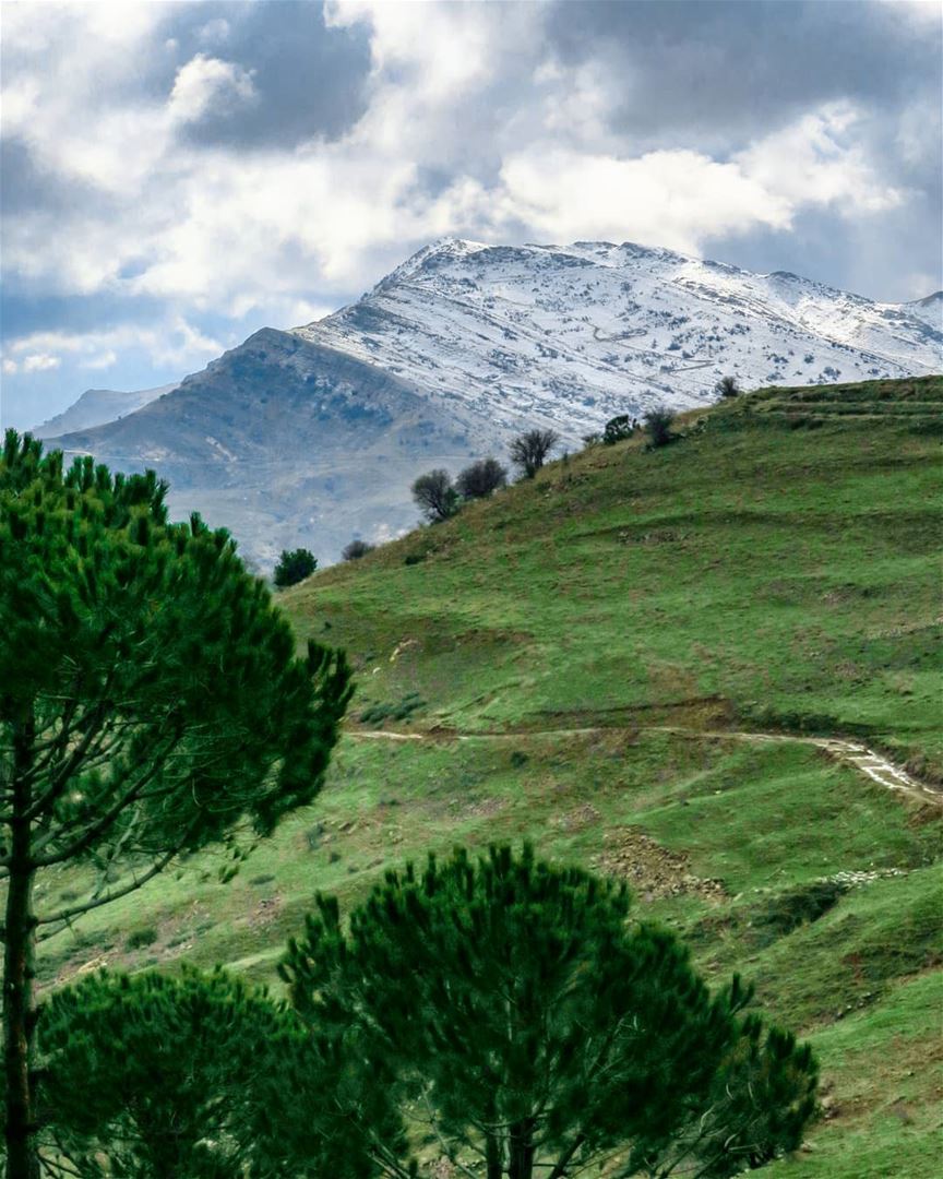 The hills are alive ⛅🏔️🌳 hiking  rain  winter  snow  peak  mountains ...