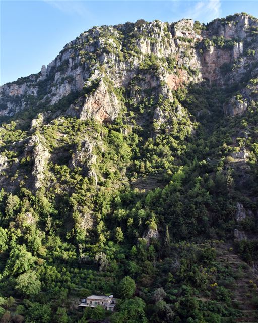 The House at the Bottom of the Mountain----------------------------------- (Wadi Qannubin, Liban-Nord, Lebanon)