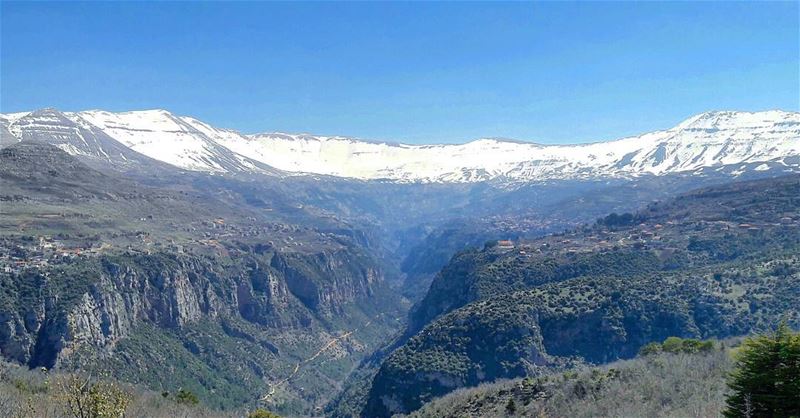 The impressive Qannoubine valley 😍 Qannoubine  Valley  AlArz  Cedars ... (Wadi Qannubin, Liban-Nord, Lebanon)