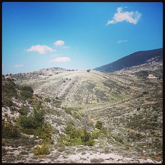 The infinite mountains of Maasser el Chouf. Do you ever wander with your...