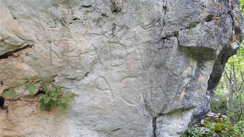 The inscriptions of Emperor Hadrian in  JabalMoussa. unescomab  unesco ...