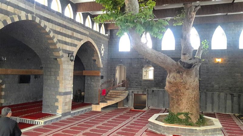 The interior of El Bireh mosque, built in 1300, and constructed by... (El Bireh , Akkar)