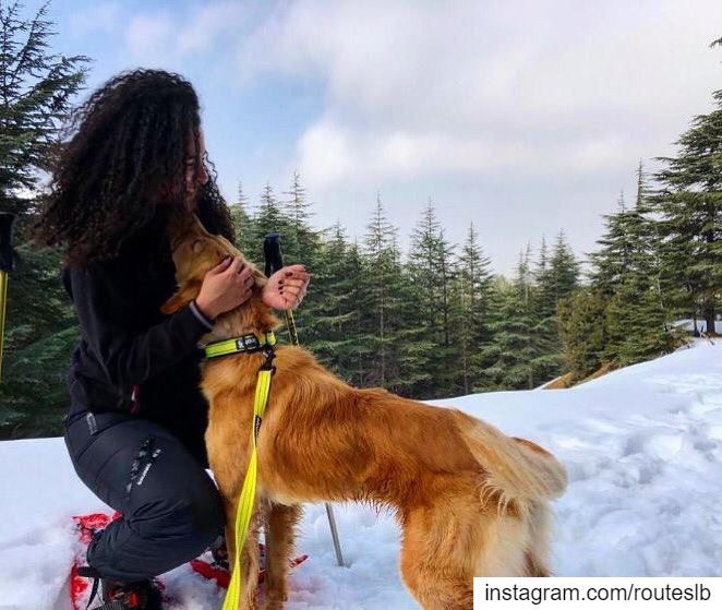 The journey of life is sweeter when traveled with a dog ❄️🌲🐶.. routes... (Niha, Liban-Nord, Lebanon)