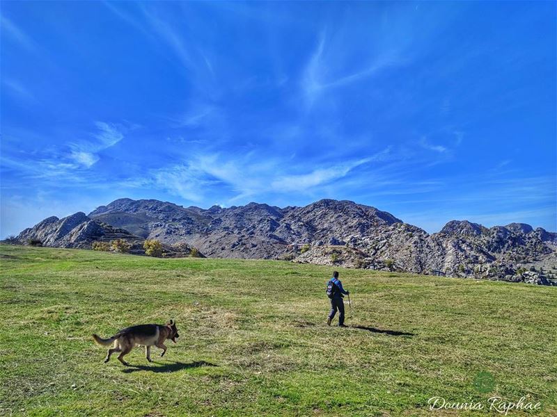 The journey of life is sweeter when traveled with dog 🐾...Huawei... (El Laklouk, Mont-Liban, Lebanon)