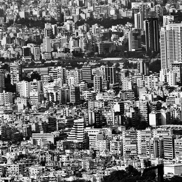 The Jungle....🇱🇧 lebanon  lebanon_hdr  ig_lebanon  insta_lebanon ...