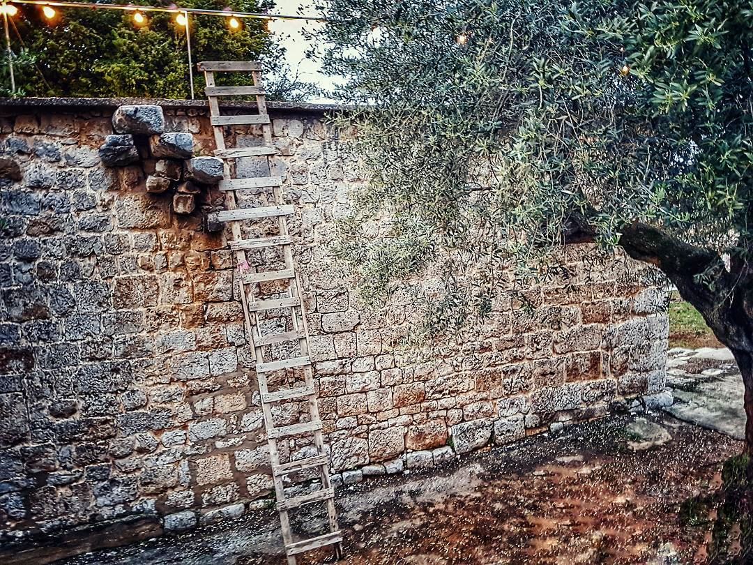 The  ladder of  success is never crowded at the top ↗ churches ... (Ballouneh, Mont-Liban, Lebanon)