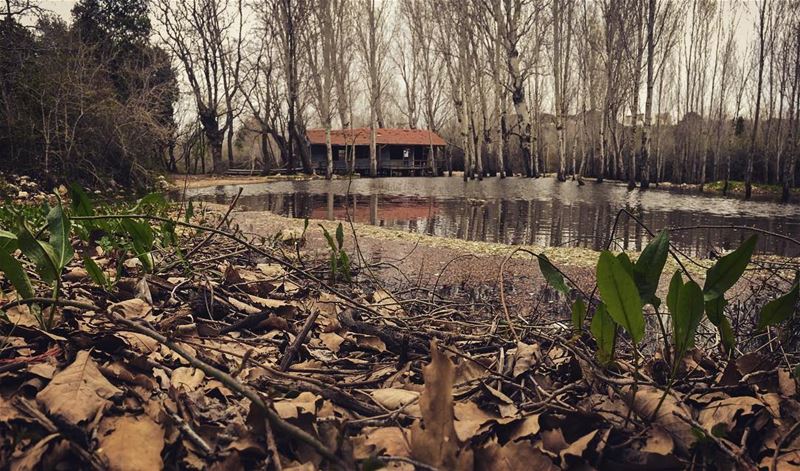 the lake house 🏡 (Abdelli, Liban-Nord, Lebanon)